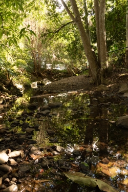 Valley stream